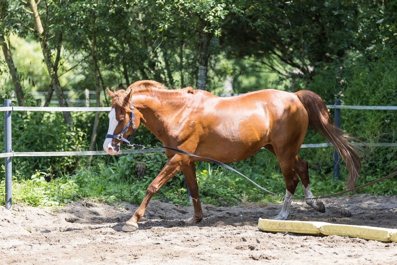 Bild 160 - Vivi